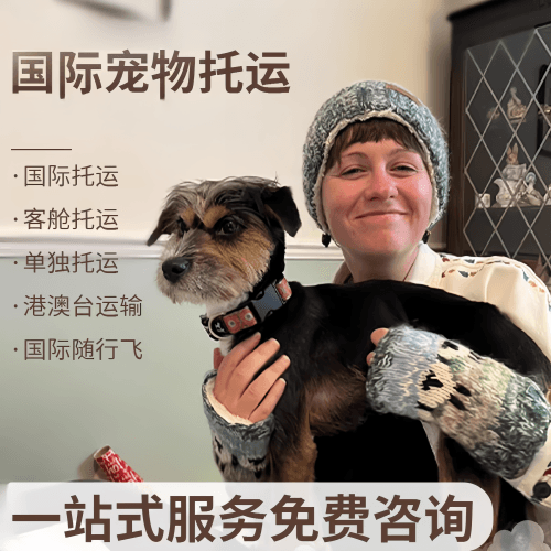 通化市国际宠物托运到阿根廷宠物入境规定和要