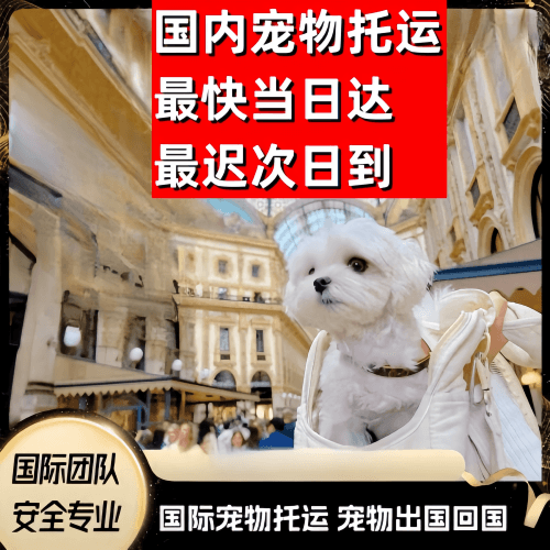 通化市到澳大利亚（澳洲）宠物入境规定和要求